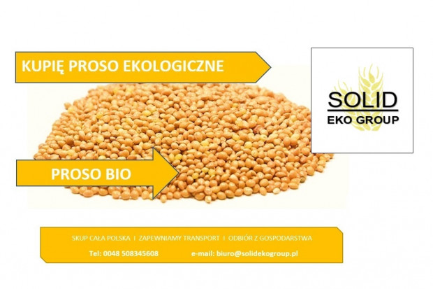 Ogłoszenie rolnicze: Kupię proso ekologiczne