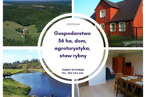 Ogłoszenie rolnicze: Gospodarstwo rolne, agroturystyka, staw rybny