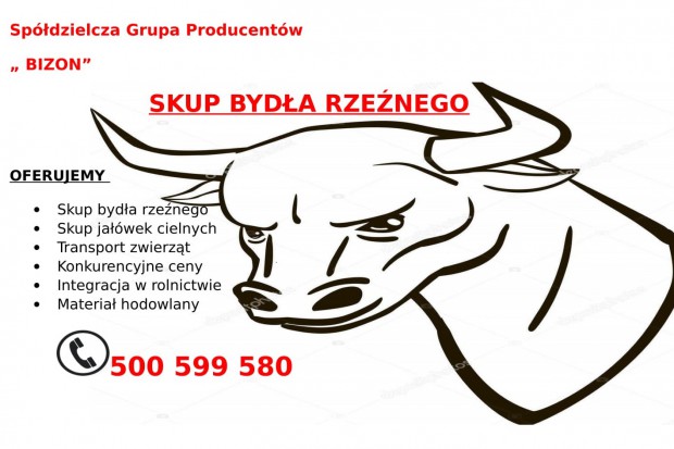 Ogłoszenie rolnicze: Skup Bydła Rzeźnego
