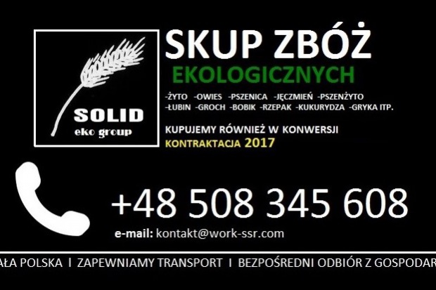 Ogłoszenie rolnicze: Skup łubinu ekologicznego