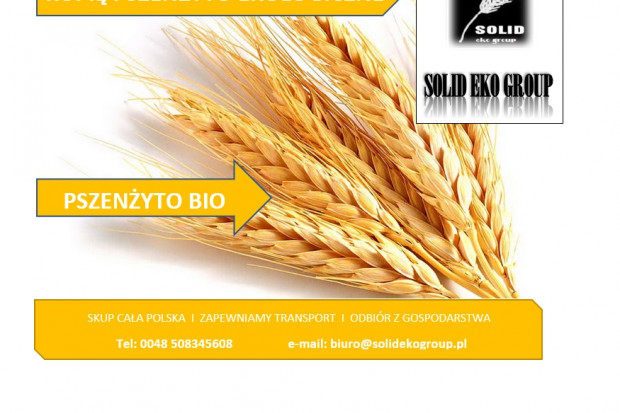 Ogłoszenie rolnicze: Pszenżyto ekologiczne