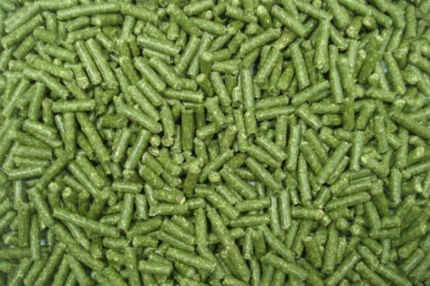 Ogłoszenie rolnicze: Pellet z lucerny granulat