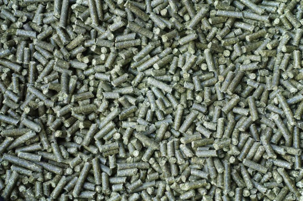 Ogłoszenie rolnicze: Pellet z lucerny granulat