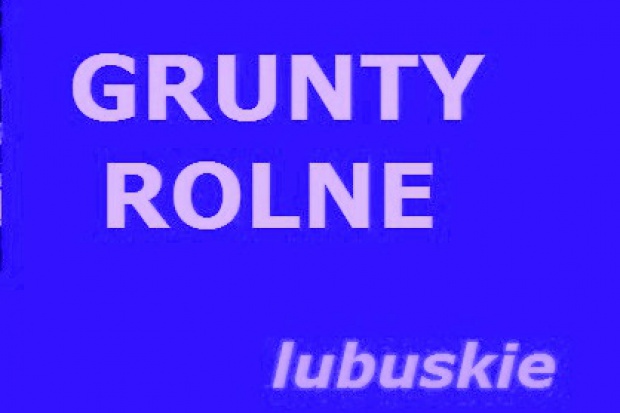 Ogłoszenie rolnicze: 519 ha w lubuskim sprzedamy