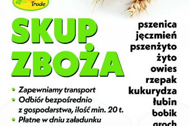 Ogłoszenie rolnicze: kupię pszenyto - skup pszenżyta