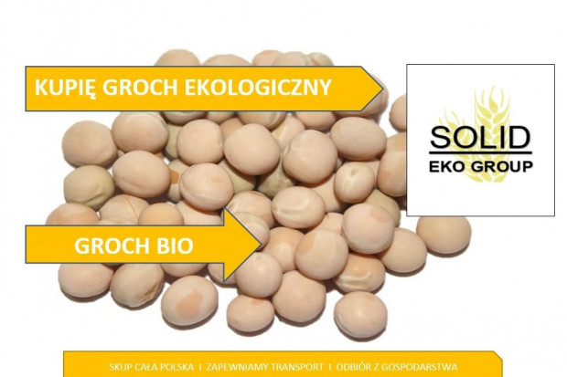 Ogłoszenie rolnicze: Groch ekologiczny
