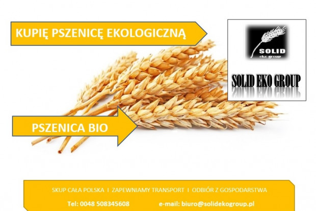 Ogłoszenie rolnicze: Pszenicę ekologiczną