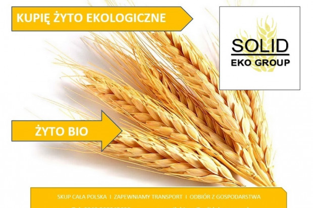 Ogłoszenie rolnicze: Żyto ekologiczne