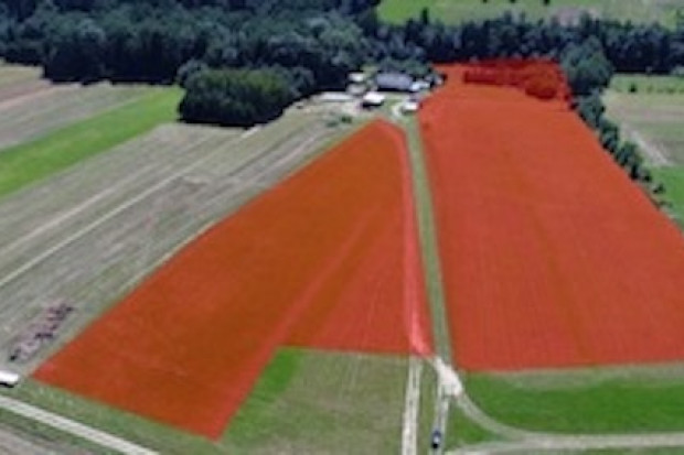 Ogłoszenie rolnicze: Biesna k. Gorlice Piękna działka widokowa 3,48 ha, rolno-siedliskowa!