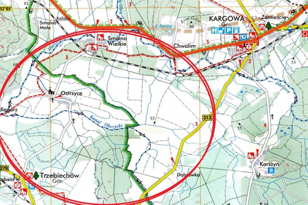 Ogłoszenie rolnicze: 5 ha w gminie Trzebiechów Kupię
