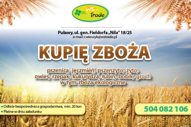 Ogłoszenie rolnicze: kupię jęczmień ozimy