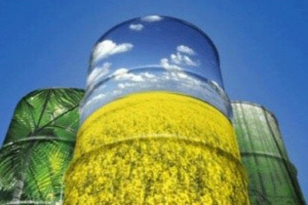 Ogłoszenie rolnicze: Ukraina. Olej rzepakowy 2,3 zl/litr + nasiona, sloma, biomasa, tluszcze