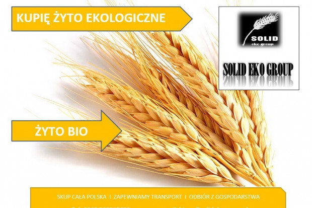 Ogłoszenie rolnicze: Żyto ekologiczne