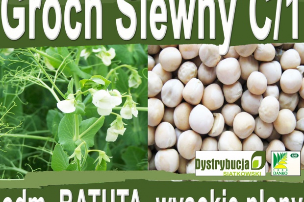 Ogłoszenie rolnicze: Kwalifikowane nasiona siewne grochu siewnego odm. BATUTA C/1