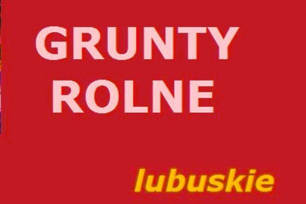 Ogłoszenie rolnicze: 415 ha gruntów na lubuskim