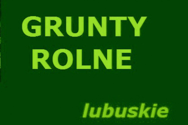 Ogłoszenie rolnicze: 150 ha ziemi rolnej w okolicy Zielonej Gory Kupie
