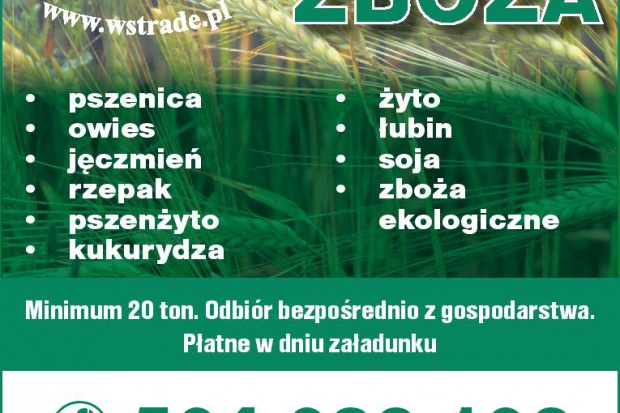 Ogłoszenie rolnicze: kupię łubin również ekologiczny