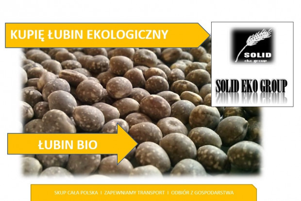 Ogłoszenie rolnicze: Łubin ekologiczny