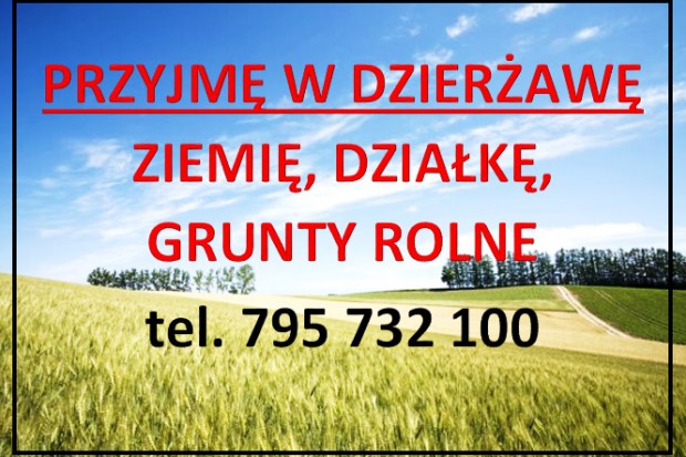 Ogłoszenie rolnicze: WEZMĘ W DZIERŻAWĘ GRUNTY ROLNE, NIEUŻYTKI
