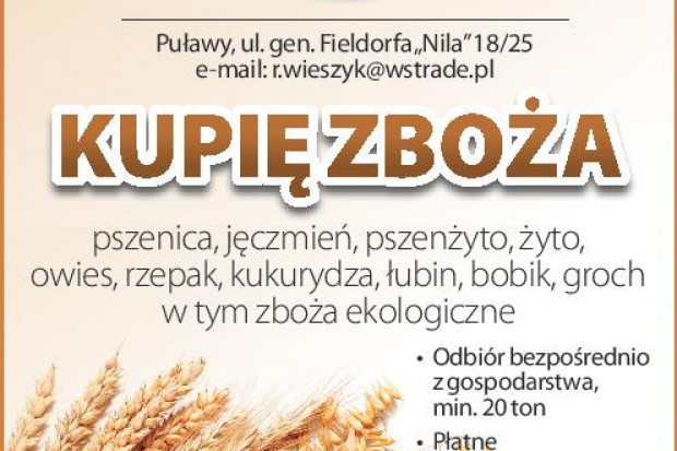 Ogłoszenie rolnicze: kupię łubin - skup łubinu