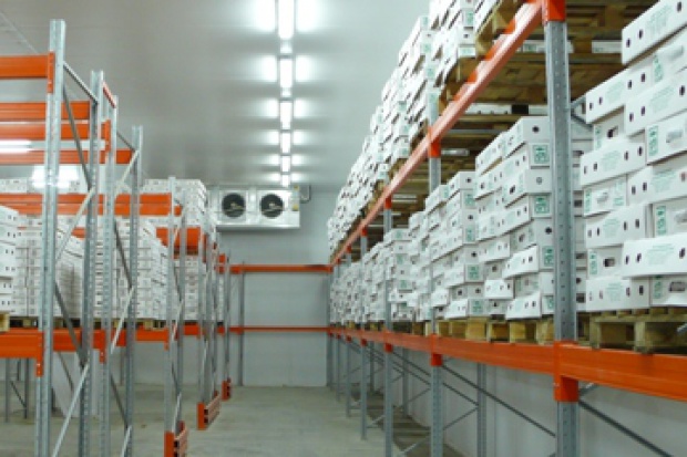 Ogłoszenie rolnicze: Ukraina.Nawiazemy wspolprace z producentami produktow spozywczych,mrozonek