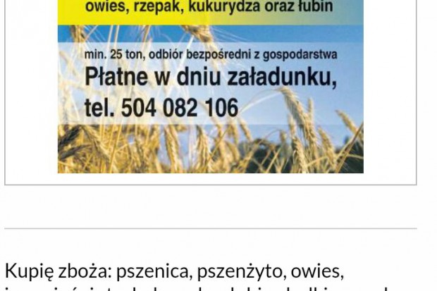 Ogłoszenie rolnicze: Kupię łubin słodki i gorzki