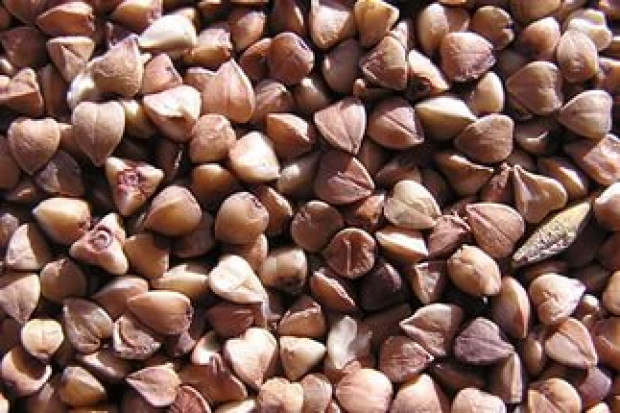 Ogłoszenie rolnicze: Ukraina. Gryka miododajna 1,5 zl/kg, kasza 2 zl/kg, wszystkie zboza, otreby