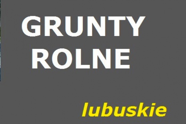 Ogłoszenie rolnicze: 9 ha w gminie Trzciel Sprzedam