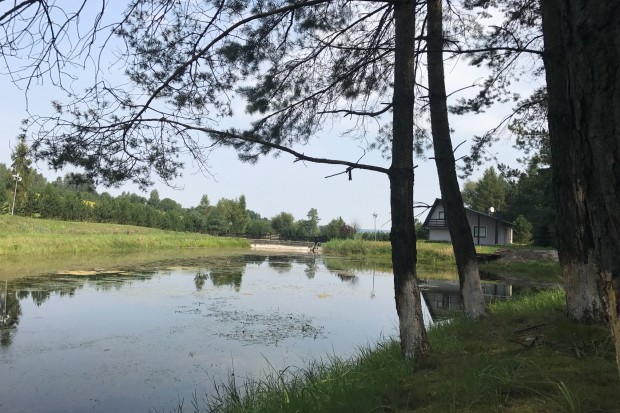 Ogłoszenie rolnicze: Grunty rolne 15,95 ha Młynka ok. Zabierzów