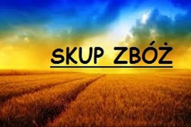Ogłoszenie rolnicze: SKUP ZBOŻA