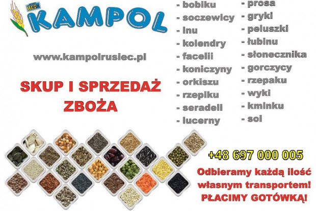 Ogłoszenie rolnicze: Kupię proso groch facelia łubin pszenica jęczmień peluszka itp