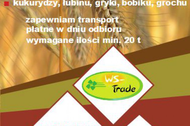 Ogłoszenie rolnicze: kupię żyto