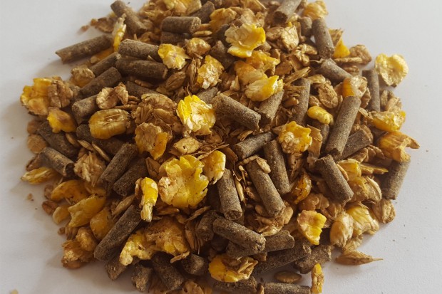 Ogłoszenie rolnicze: Musli dla cieląt - Jak Vital Musli - BEZ GMO