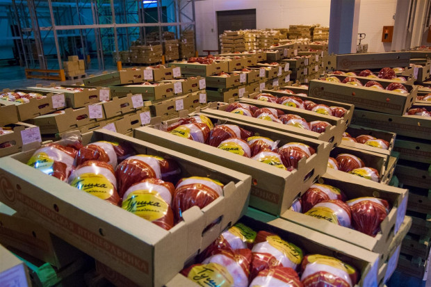 Ogłoszenie rolnicze: Ukraina.Sprzedam tuszki kurczaka 4 zl/kg,filet 5 zl swiezy bez kosci lub mrozony