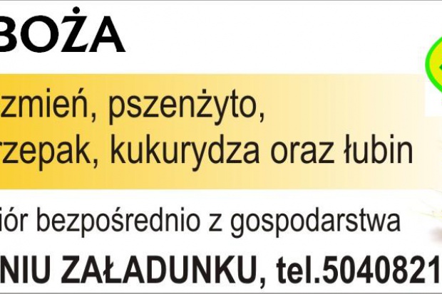 Ogłoszenie rolnicze: kupię owies- skup owsa