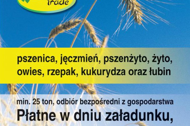 Ogłoszenie rolnicze: kupię kukurydzę