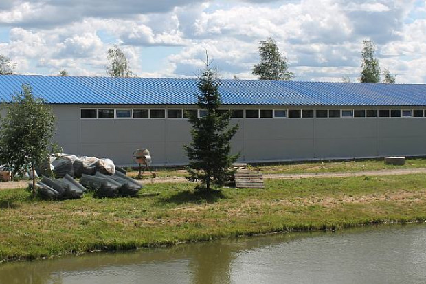 Ogłoszenie rolnicze: Orzechy wloskie, laskowe 3 zl/kg w skupie sezonowym.Sprzedam sad