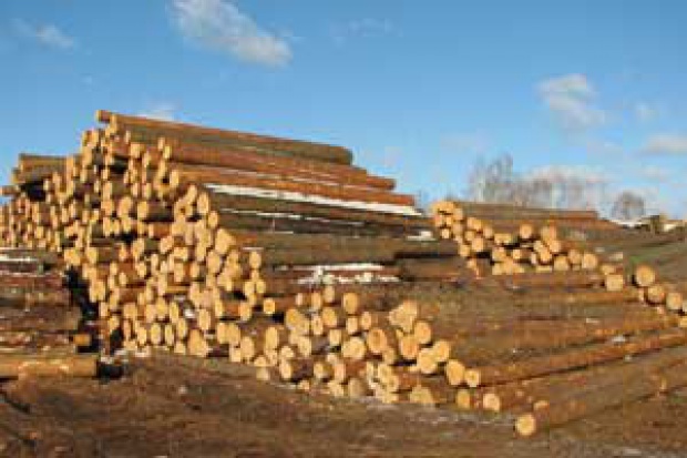 Ogłoszenie rolnicze: Ukraina.Opal biomasowy,wiory na rozpalke,kora 4zl worek 70L
