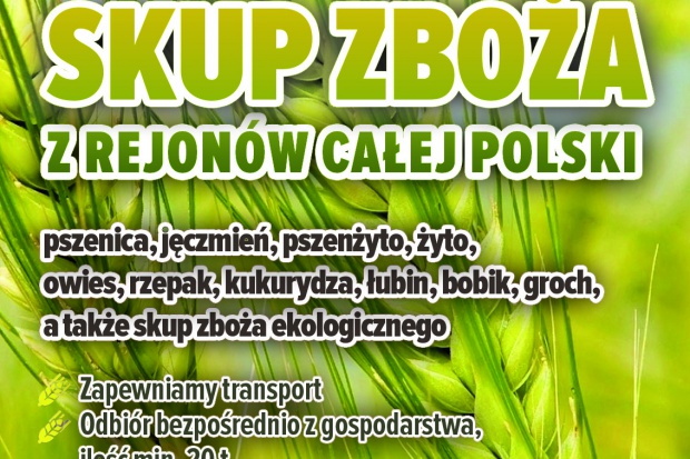 Ogłoszenie rolnicze: kupię orkisz