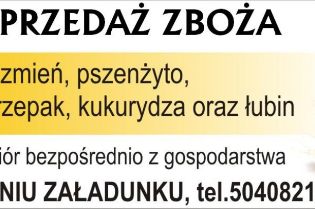 Ogłoszenie rolnicze: kupię żyto- skup żyta