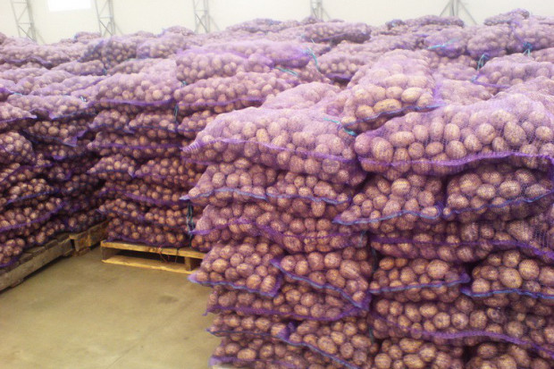 Ogłoszenie rolnicze: Ziemniaki 0,25 zl/kg,kapusta 0,40 zl/kg biala,czerwona,kwaszona.Grunty rolne