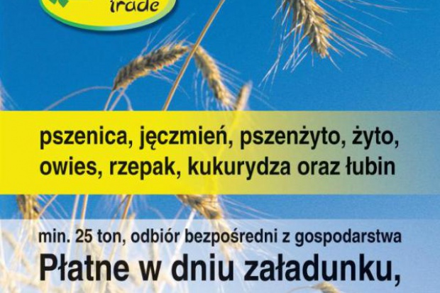 Ogłoszenie rolnicze: kupię owies- skup owsa