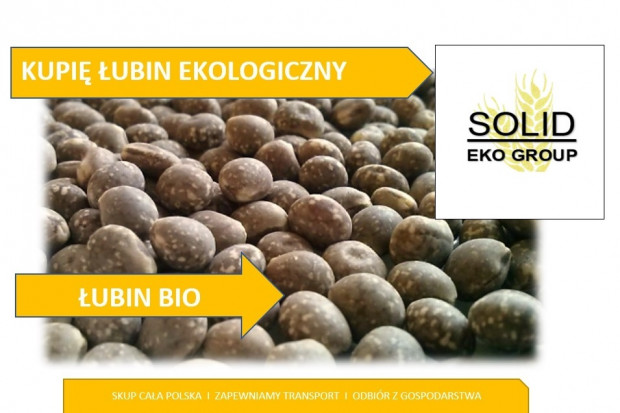 Ogłoszenie rolnicze: Łubin ekologiczny