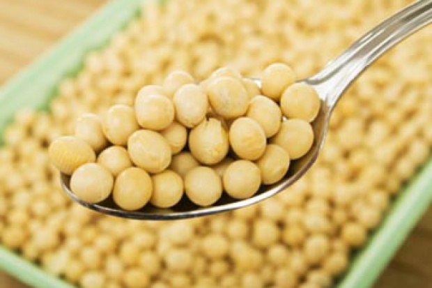 Ogłoszenie rolnicze: Ukraina.Soja warzywna,nasiona suche 1,4 zl/kg