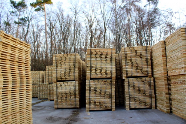 Ogłoszenie rolnicze: Ukraina.Zrebki,zrzyny drzewne od producenta 5 wagonow dziennie.Cena 4 zl/m3