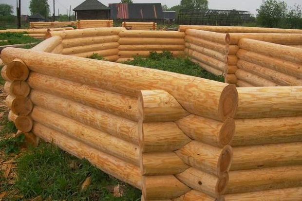 Ogłoszenie rolnicze: Tarcica 50mm nieobrzynana iglasta, lisciasta od 150 zl/m3